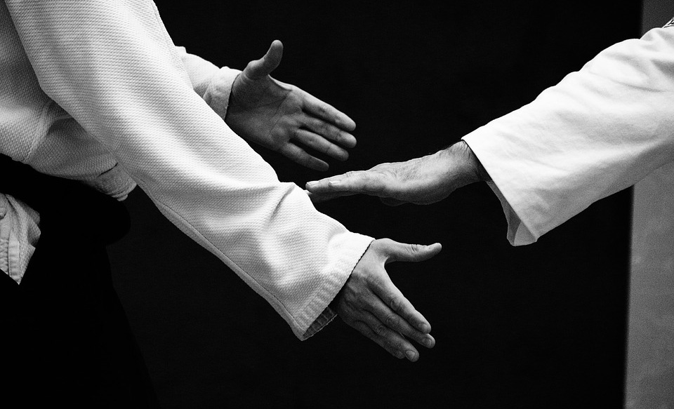 Lee más sobre el artículo Descubre el arte del Aikido en La Pradera